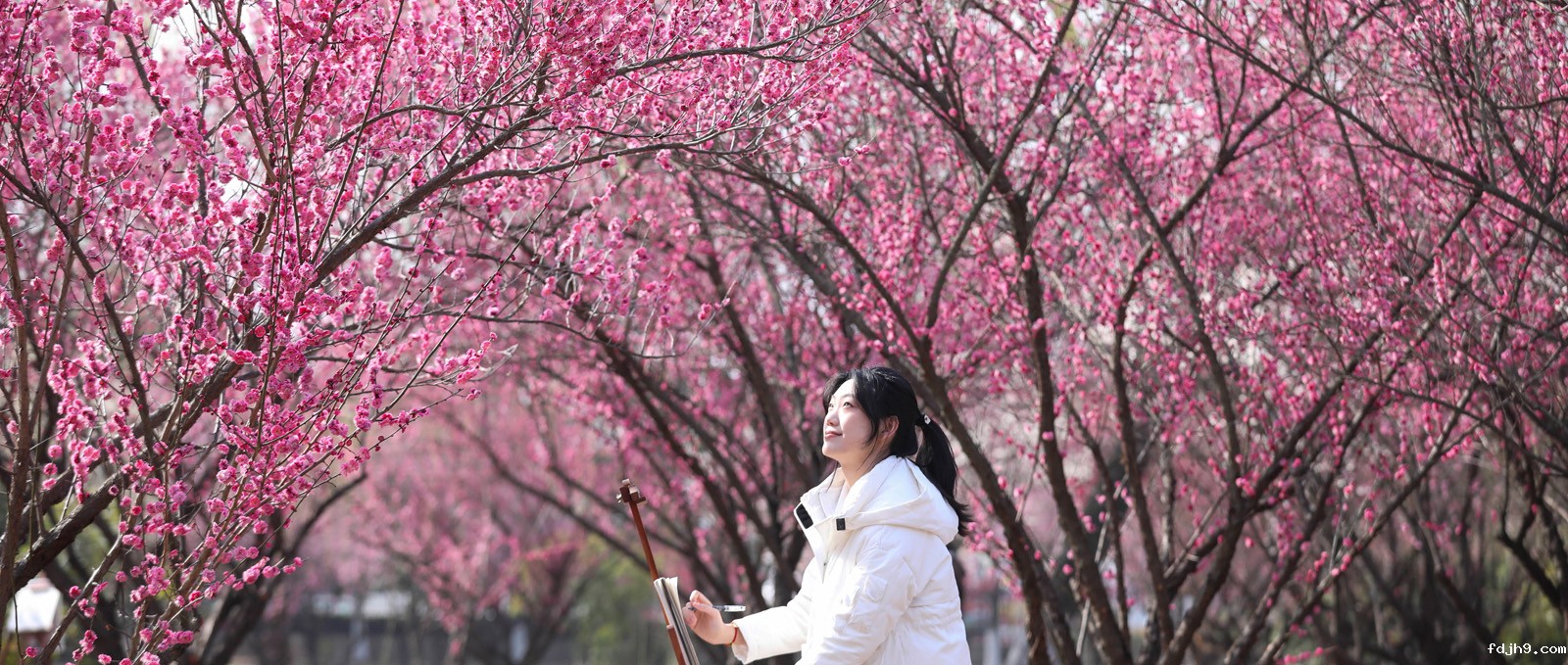 印象新利18彩票 | 校园里的“梅”好时光